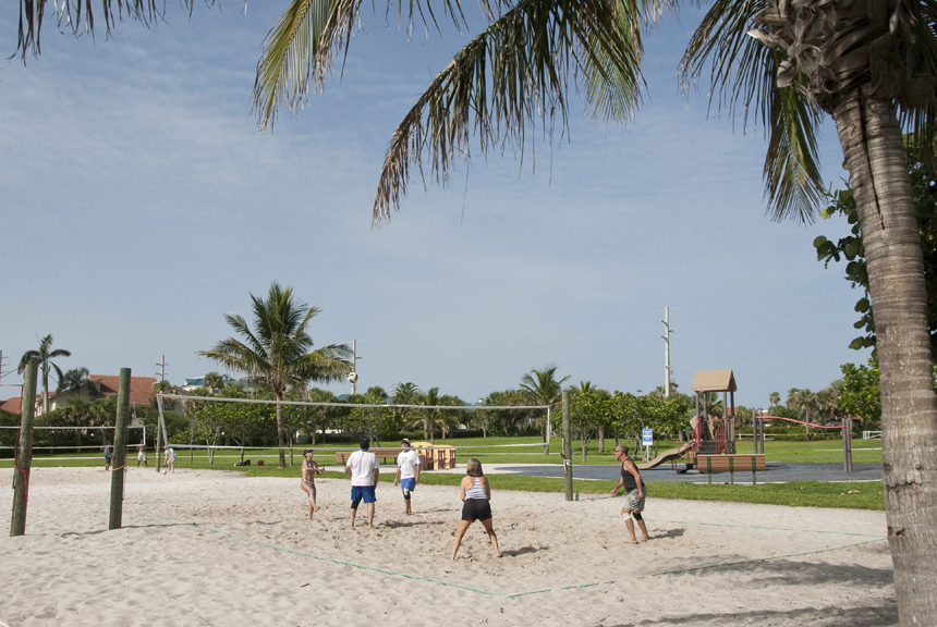 31400384386_ddf4f4a173_o Adults playing volleyball