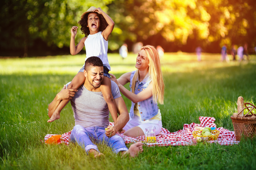 Family enjoying a picnic in the park
