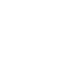 brain