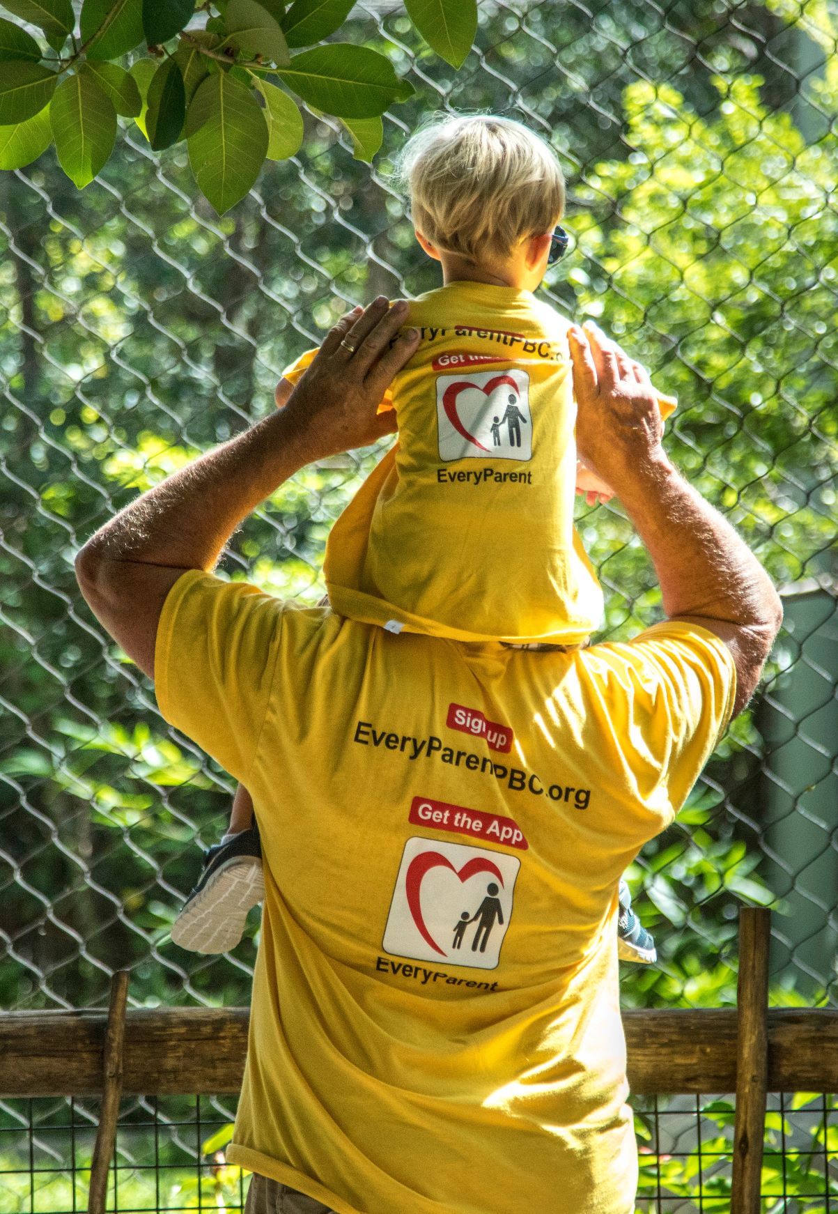 A grandfather with his grandson on his shoulders looking at animals at the Palm Beach Zoo.
