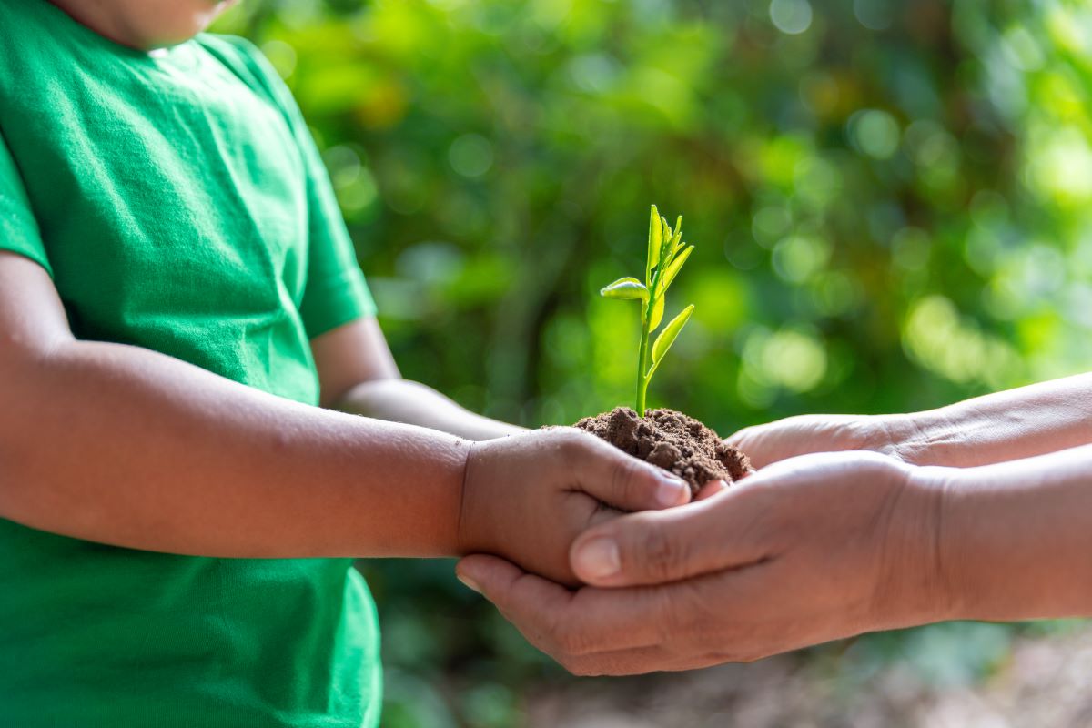 A child in a green T-shirt holding a seedling in dirt, with an adult's hands support the child's hands.