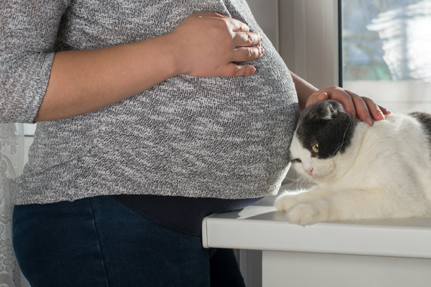 Pregnant woman with cat next to her