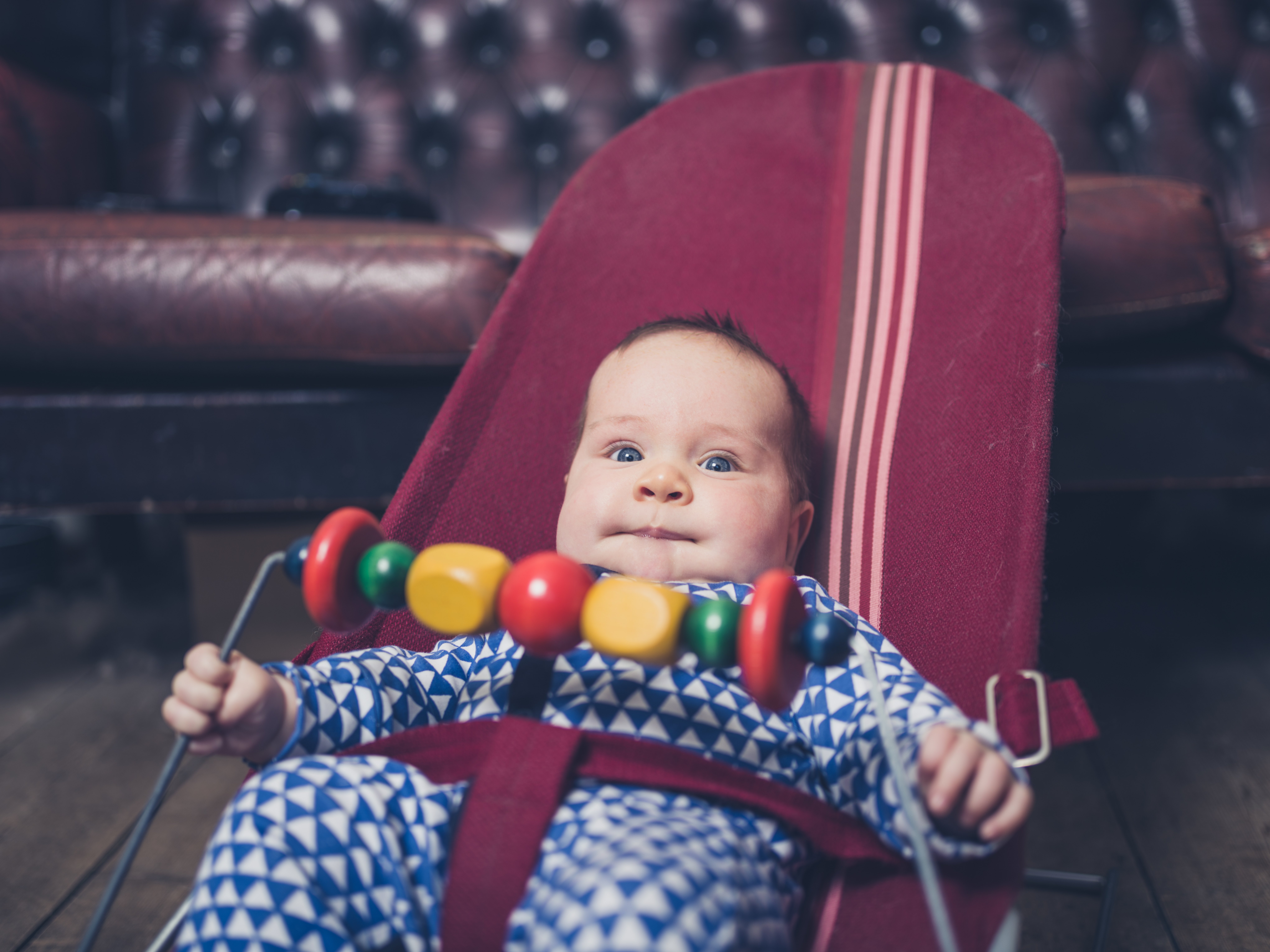 babybouncyseat