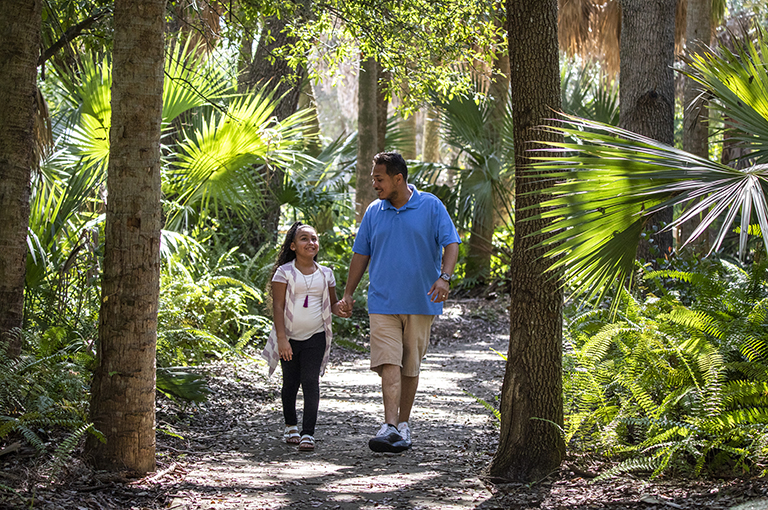 Father and daughter walking through trees in Palm Beach County