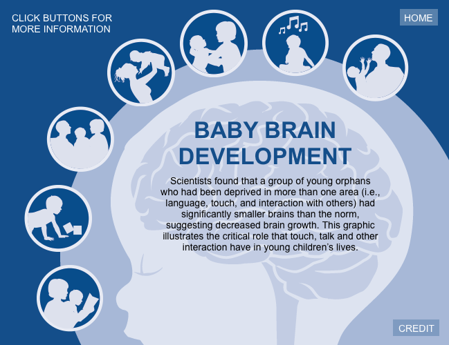 Interactive graphic illustrating a child's brain architecture.